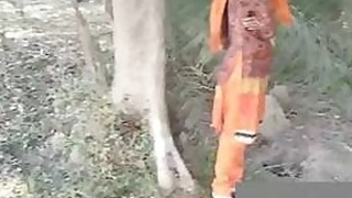 Desi local randi Fucking in the park outdoors