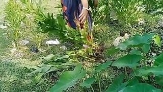 Horny Indian Bhabi Having sex with her lover in the garden